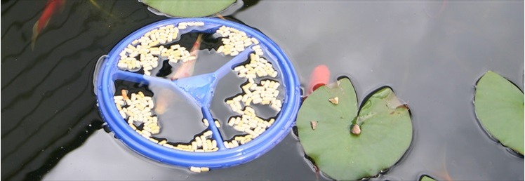 Water Feature & Pond Accessories
