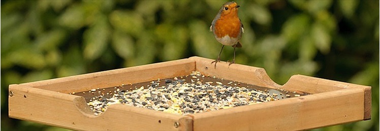 Bird Tables & Bird Baths
