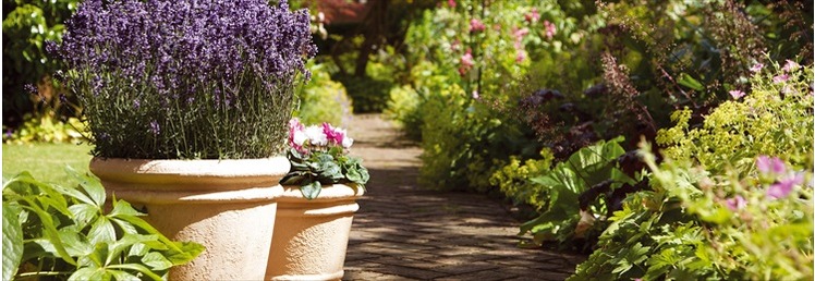 Lightweight Pots