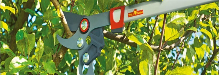 Cutting & Pruning
