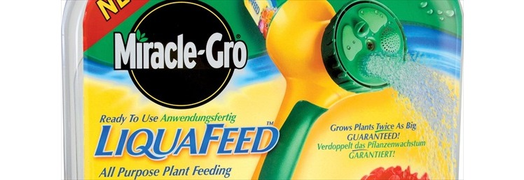 Plant Food