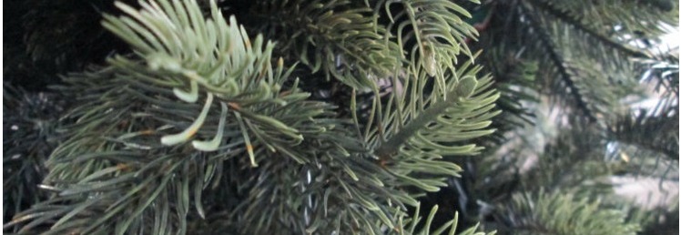 Artificial Trees