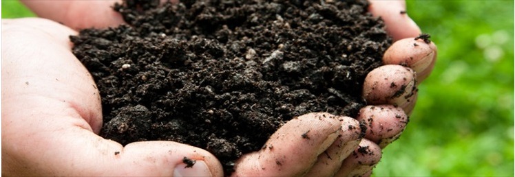 Compost and Fertilisers