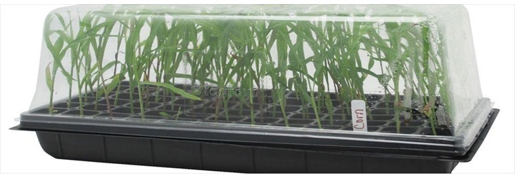 Propagation