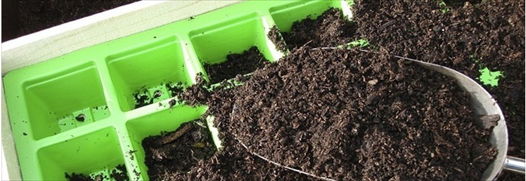 Pots, Planters, Cell Tray & Trays