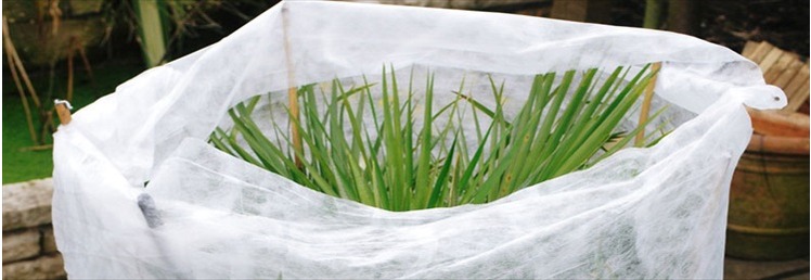 Plant Protection and Covers