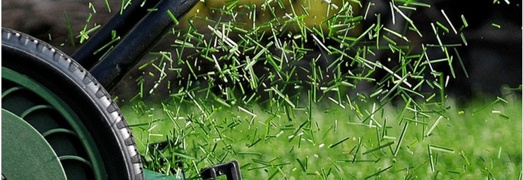 Garden Power Tools