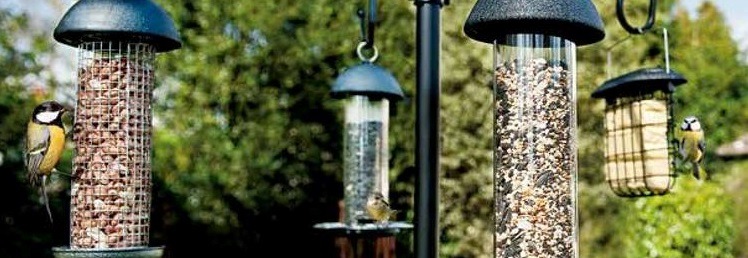 Bird Feeders