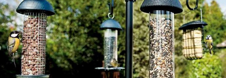 Bird Feeders