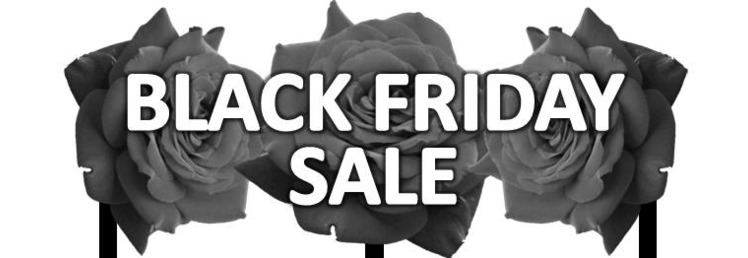 Black Friday Sale