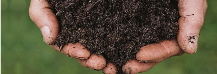 Abercorn - Compost