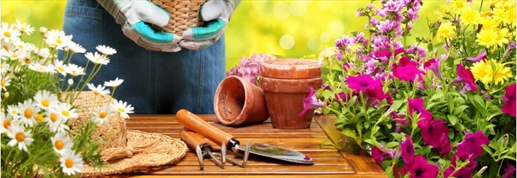 Garden Tools & Planters