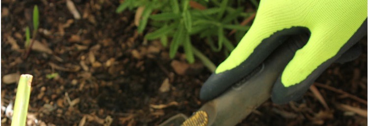 Gardening Gloves