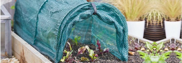 Greenhouse, Grow Frames, Tunnels & Cloches
