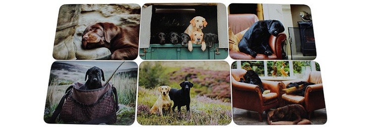 Kitchen & Homeware Gifts
