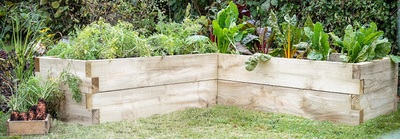 Wooden Raised Beds & Planters