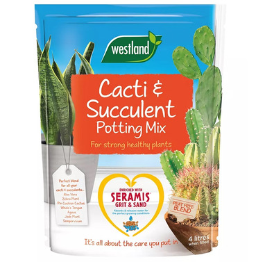 Cacti & Succulent Potting Mix Peat Free - 4lt