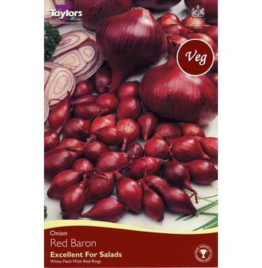 Onion Set Red Baron - 50 Pack - Taylors Bulbs