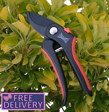 Bypass Pruner Secateurs 20mm from Wilkinson Sword - Soft Grip - FREE POSTAGE