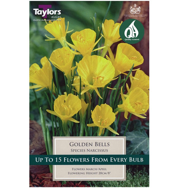 Narcissi Golden Bells Bulbs