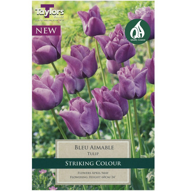 Tulip Bleu Aimable Bulbs