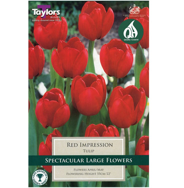 Tulip Red Impression Bulbs