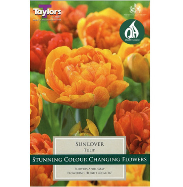 Tulip Sunlover Bulbs