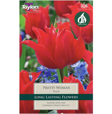 Tulip Pretty Woman Bulbs