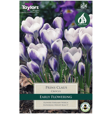 Crocus Prins Claus Bulbs