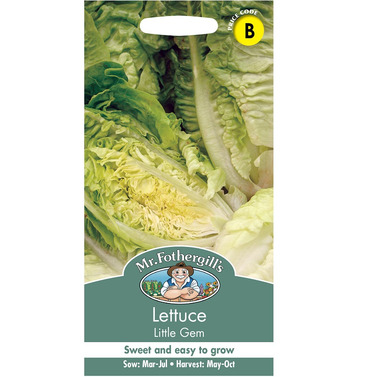 Lettuce Little Gem Packet Of Seeds - Mr Fothergills
