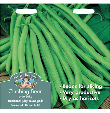 Climbing French Bean Blue Lake Packet Of Seeds - Mr Fothergills