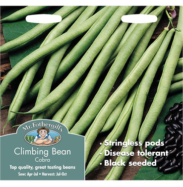 Climbing French Bean Cobra Packet Of Seeds - Mr Fothergills