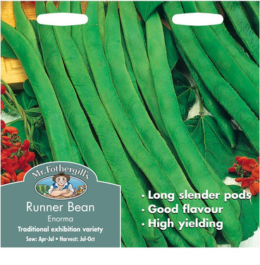 Runner Bean Enorma Packet Of Seeds - Mr Fothergills