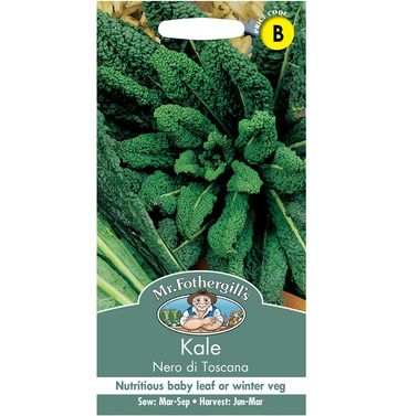 Kale Nero Di Toscana Packet Of Seeds - Mr Fothergills