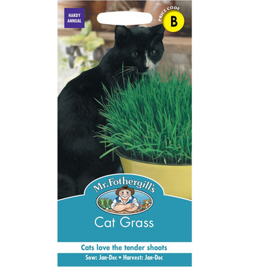 Cat Grass Avena Sativa Packet Of Seeds - Mr Fothergills