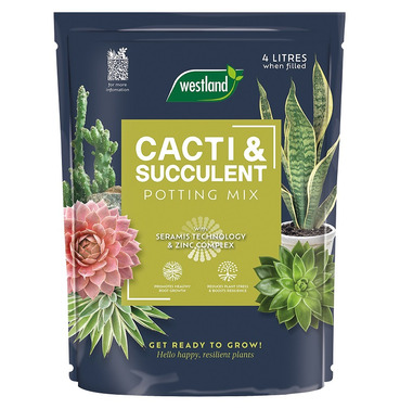 Cacti & Succulent Potting Mix Peat Free - 4lt