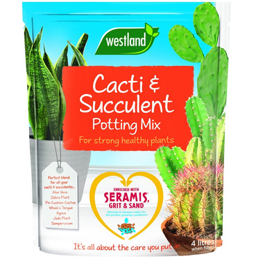 Cactus Cacti & Succulent Compost - Westland Garden Health - 4 Litres