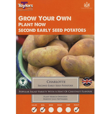 Seed Potatoes Charlotte Second Early Starter Taster Pack - 10 Pack
