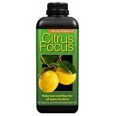 Growth Technology Citrus Focus 300ml Plant Food Fertiliser