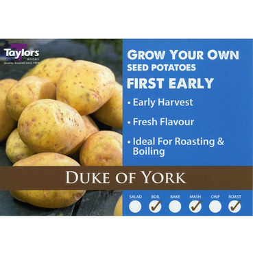 Seed Potatoes Duke of York First Early - 2kg Pack - Taylors Bulbs 