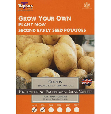 Seed Potatoes Gemson Second Early Starter Taster Pack - 10 Pack