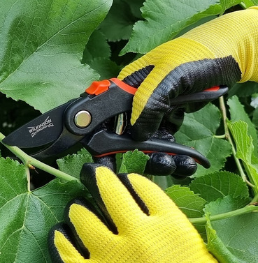 Wilkinson Sword Secateurs and Gardening Gloves Combination Deal