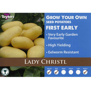 Seed Potatoes Lady Christl First Early - 2kg Pack - Taylors Bulbs  