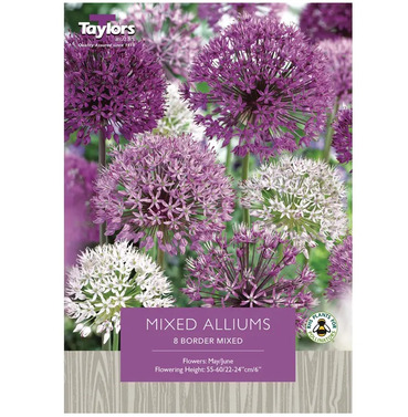 Allium Border Mixed Bulbs - Buy One Get One Free