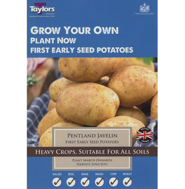 Seed Potatoes Pentland Javelin Starter Taster Pack - 10 Pack - Taylors Bulbs 