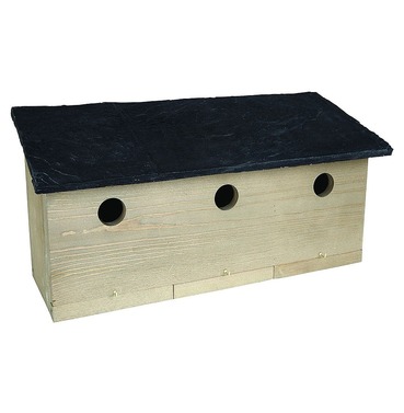 Sparrow Colony Nest Bird Box