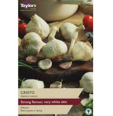 Cristo French Garlic Bulbs - Taylor Bulbs