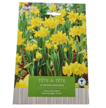 Narc Tete A Tete Bulbs - Buy One Get One Free