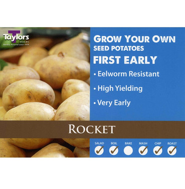Seed Potatoes Rocket First Early - 2kg Pack - Taylors Bulbs 