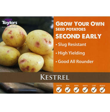 Seed Potatoes Kestrel Second Early - 2kg Pack - Taylors Bulbs 
